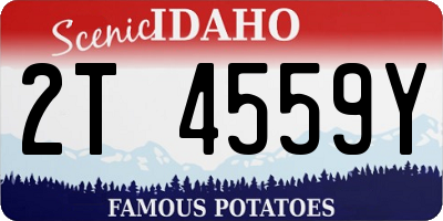 ID license plate 2T4559Y