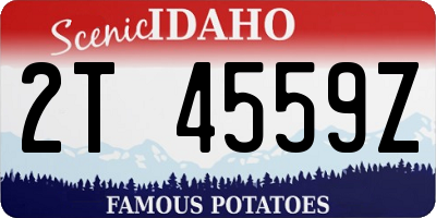 ID license plate 2T4559Z