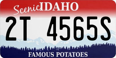 ID license plate 2T4565S