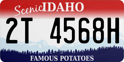 ID license plate 2T4568H