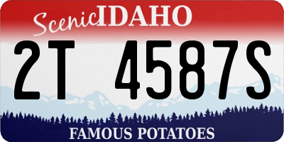 ID license plate 2T4587S