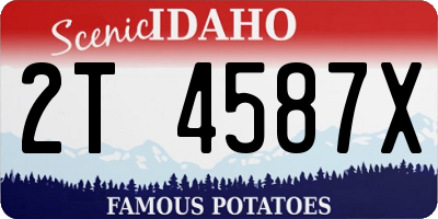 ID license plate 2T4587X