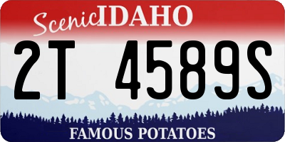 ID license plate 2T4589S
