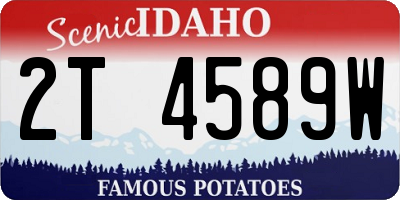 ID license plate 2T4589W