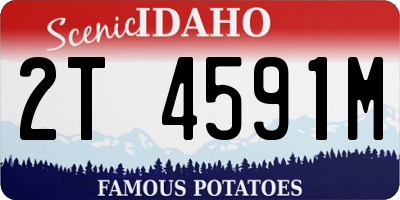 ID license plate 2T4591M