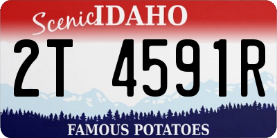 ID license plate 2T4591R