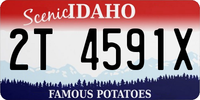 ID license plate 2T4591X