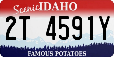 ID license plate 2T4591Y