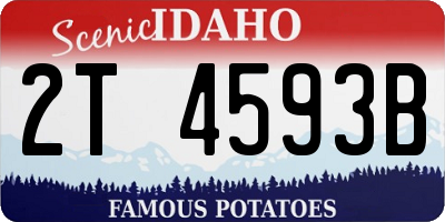 ID license plate 2T4593B