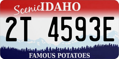 ID license plate 2T4593E