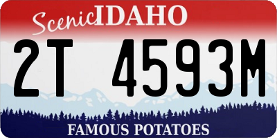 ID license plate 2T4593M