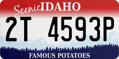 ID license plate 2T4593P