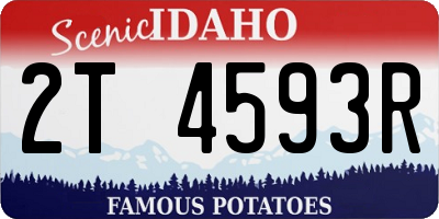ID license plate 2T4593R
