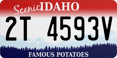 ID license plate 2T4593V