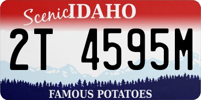 ID license plate 2T4595M