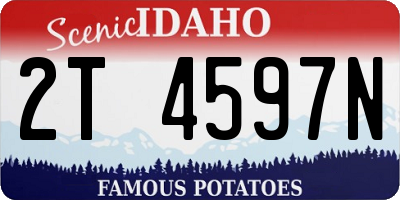 ID license plate 2T4597N