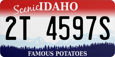 ID license plate 2T4597S