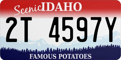 ID license plate 2T4597Y