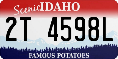 ID license plate 2T4598L