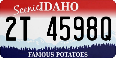 ID license plate 2T4598Q