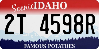 ID license plate 2T4598R