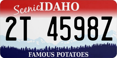 ID license plate 2T4598Z