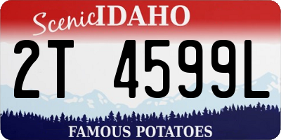 ID license plate 2T4599L