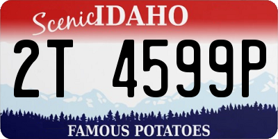 ID license plate 2T4599P