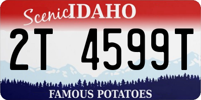 ID license plate 2T4599T