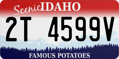 ID license plate 2T4599V