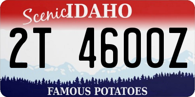 ID license plate 2T4600Z