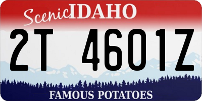 ID license plate 2T4601Z