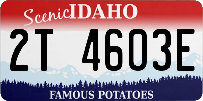ID license plate 2T4603E