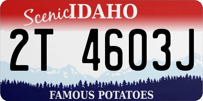 ID license plate 2T4603J