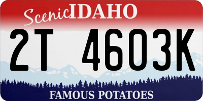 ID license plate 2T4603K