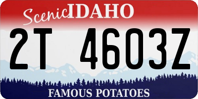 ID license plate 2T4603Z
