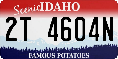 ID license plate 2T4604N