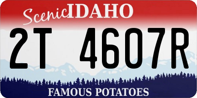 ID license plate 2T4607R