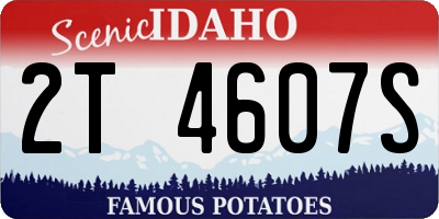 ID license plate 2T4607S