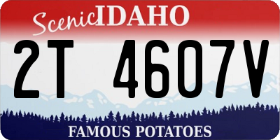 ID license plate 2T4607V