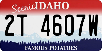 ID license plate 2T4607W