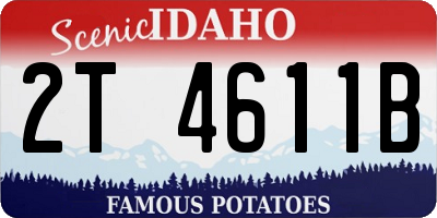 ID license plate 2T4611B