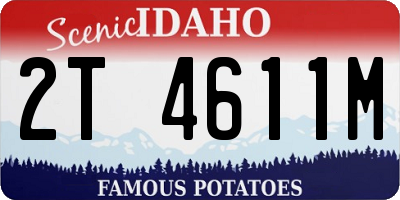 ID license plate 2T4611M