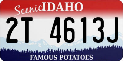 ID license plate 2T4613J