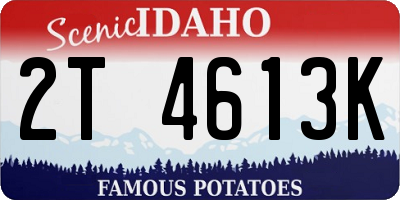 ID license plate 2T4613K
