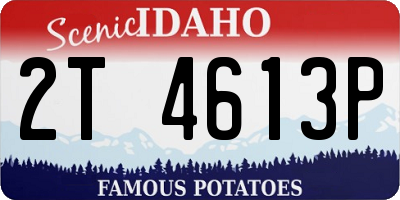 ID license plate 2T4613P