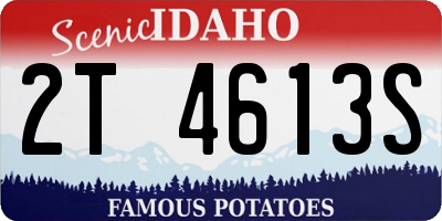 ID license plate 2T4613S