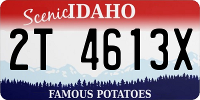 ID license plate 2T4613X
