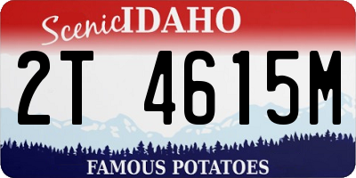 ID license plate 2T4615M