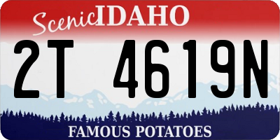 ID license plate 2T4619N
